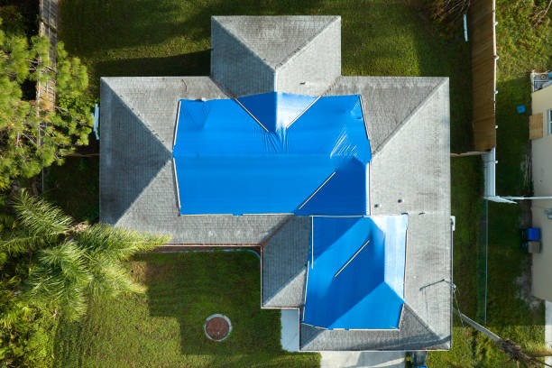  Dana Point, CA Roofing Service Pros