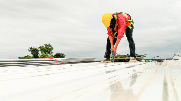 Best Gutter Installation and Repair  in Dana Point, CA