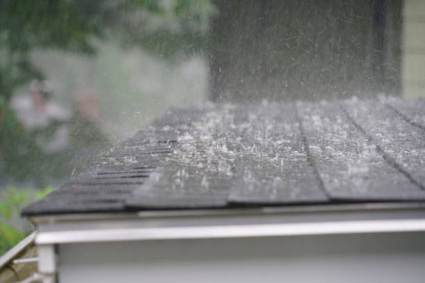 Best Rubber Roofing (EPDM, TPO)  in Dana Point, CA