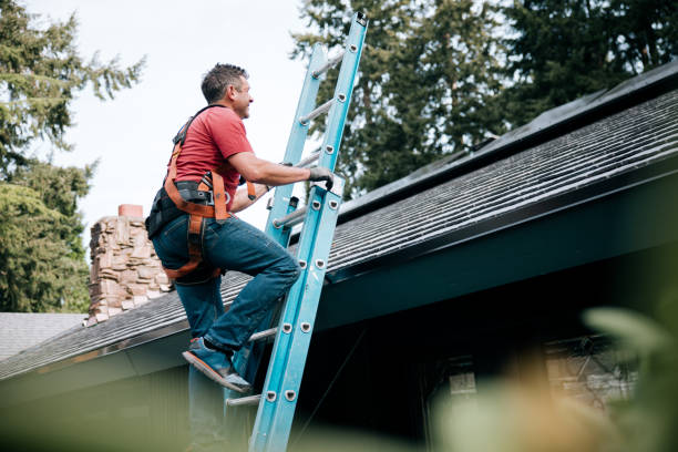Best Sheet Metal Roofing  in Dana Point, CA